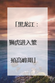 黑龙江：狮虎进入繁殖高峰期