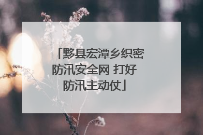 黟县宏潭乡织密防汛安全网 打好防汛主动仗