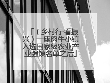 （乡村行·看振兴）一座肉牛小镇入选国家级农业产业强镇名单之后