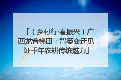 （乡村行·看振兴）广西龙脊梯田：背篓变迁见证千年农耕传统魅力