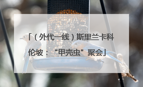 （外代一线）斯里兰卡科伦坡：“甲壳虫”聚会