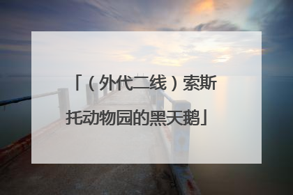 （外代二线）索斯托动物园的黑天鹅