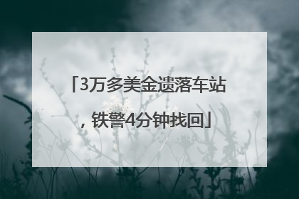 3万多美金遗落车站，铁警4分钟找回