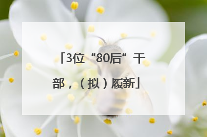 3位“80后”干部，（拟）履新