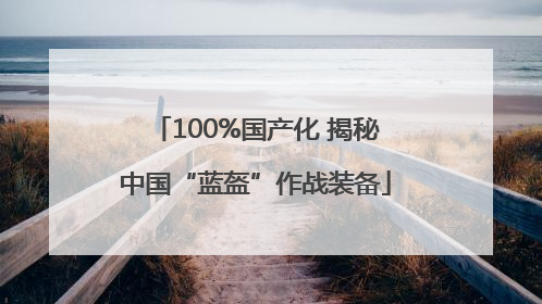 100%国产化 揭秘中国“蓝盔”作战装备