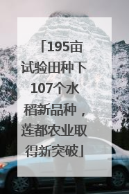 195亩试验田种下107个水稻新品种，莲都农业取得新突破