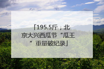 195.5斤，北京大兴西瓜节“瓜王”重量破纪录