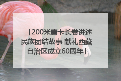 200米唐卡长卷讲述民族团结故事 献礼西藏自治区成立60周年