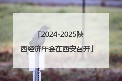 2024-2025陕西经济年会在西安召开