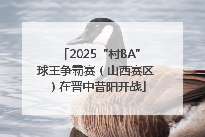 2025“村BA”球王争霸赛（山西赛区）在晋中昔阳开战