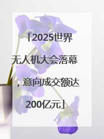 2025世界无人机大会落幕，意向成交额达200亿元
