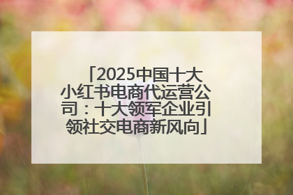 2025中国十大小红书电商代运营公司：十大领军企业引领社交电商新风向