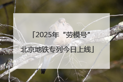 2025年“劳模号”北京地铁专列今日上线