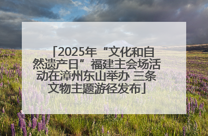 2025年“文化和自然遗产日”福建主会场活动在漳州东山举办 三条文物主题游径发布