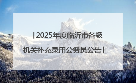 2025年度临沂市各级机关补充录用公务员公告
