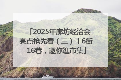 2025年廊坊经洽会亮点抢先看（三）丨6街16巷，邀你逛市集