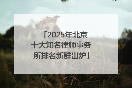 2025年北京十大知名律师事务所排名新鲜出炉