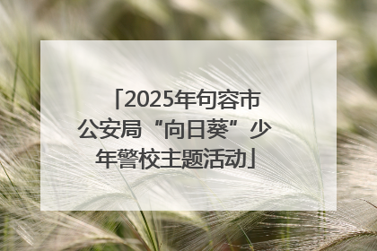 2025年句容市公安局“向日葵”少年警校主题活动