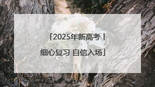 2025年新高考丨细心复习 自信入场
