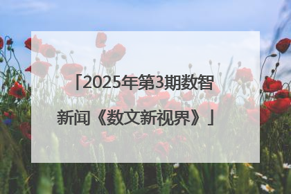 2025年第3期数智新闻《数文新视界》