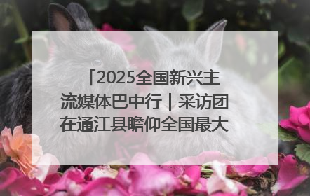 2025全国新兴主流媒体巴中行｜采访团在通江县瞻仰全国最大红军烈士陵园