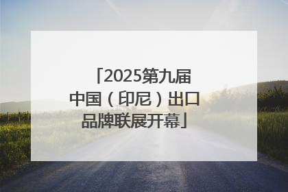 2025第九届中国（印尼）出口品牌联展开幕