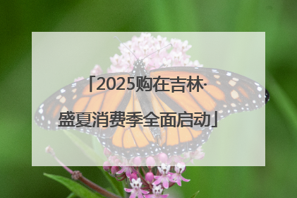 2025购在吉林·盛夏消费季全面启动