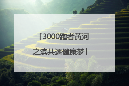 3000跑者黄河之滨共逐健康梦