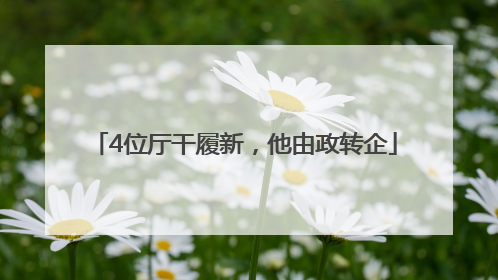 4位厅干履新，他由政转企