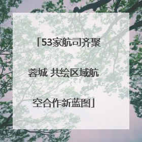 53家航司齐聚蓉城 共绘区域航空合作新蓝图