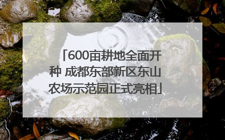 600亩耕地全面开种 成都东部新区东山农场示范园正式亮相