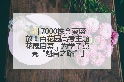 7000株金葵盛放！百花园高考主题花展启幕，为学子点亮“魁首之路”