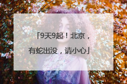 9天9起！北京，有蛇出没，请小心