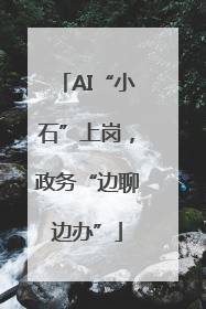 AI“小石”上岗，政务“边聊边办”