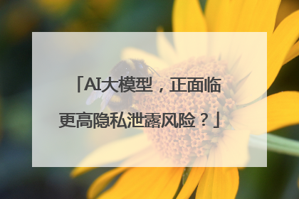 AI大模型，正面临更高隐私泄露风险？