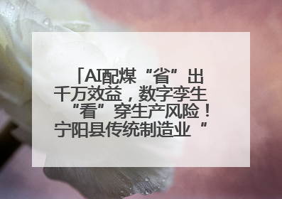 AI配煤“省”出千万效益，数字孪生“看”穿生产风险！宁阳县传统制造业“智”变突围