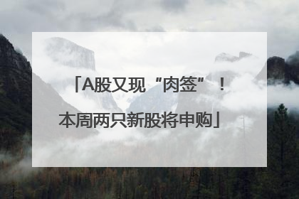 A股又现“肉签”！本周两只新股将申购