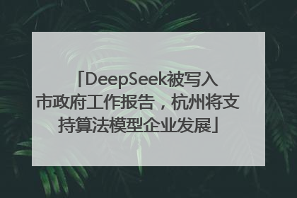 DeepSeek被写入市政府工作报告，杭州将支持算法模型企业发展