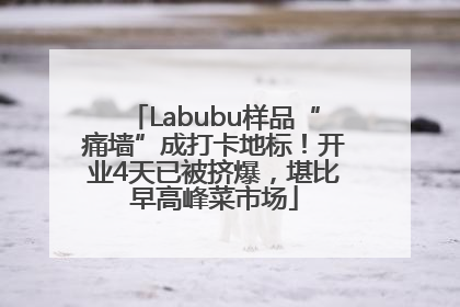 Labubu样品“痛墙”成打卡地标！开业4天已被挤爆，堪比早高峰菜市场