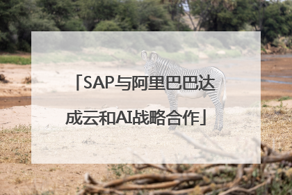 SAP与阿里巴巴达成云和AI战略合作